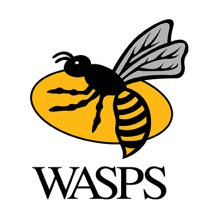 Logo London Wasps pour accessoires bébé : tétines, bodies, bavoirs et plus sur bebe-prenom.com.