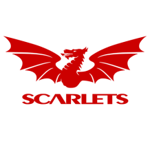 Produit Llanelli Scarlets pour bébé, idéal pour les petits fans de rugby. Découvrez nos accessoires sur bebe-prenom.com.
