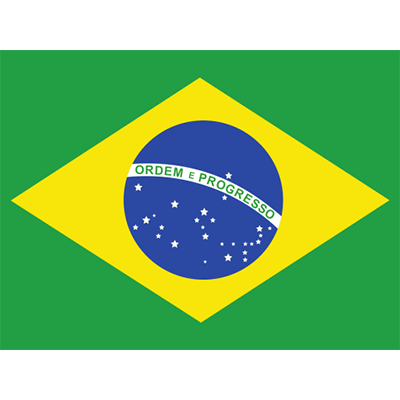 Drapeau officiel du Brésil, idéal pour personnaliser les articles pour bébé chez bebe-prenom.com.
