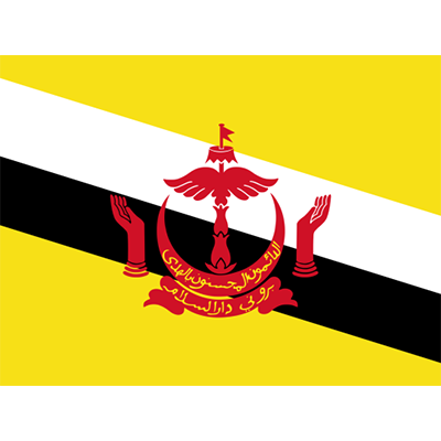 Drapeau Officiel du Brunei Darussalam, idéal pour personnaliser les articles pour bébé sur bebe-prenom.com.