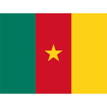 Drapeau Officiel du Cameroun, idéal pour personnaliser les accessoires de bébé sur bebe-prenom.com.