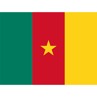 Drapeau Officiel du Cameroun, idéal pour personnaliser les accessoires de bébé sur bebe-prenom.com.
