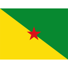 Drapeau Officiel de la Guyane Française, idéal pour décorer les articles de bébé sur bebe-prenom.com.