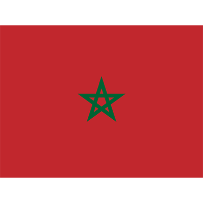 Drapeau Officiel du Maroc, parfait pour personnaliser les accessoires de votre bébé sur bebe-prenom.com.