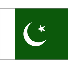 Drapeau Officiel du Pakistan, idéal pour personnaliser les accessoires de bébé avec style sur bebe-prenom.com.