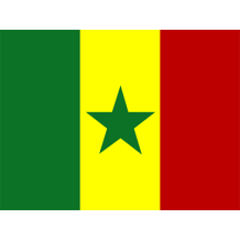 Drapeau officiel du Sénégal, parfait pour personnaliser les accessoires de bébé en toute occasion. Disponibles sur bebe-prenom.c