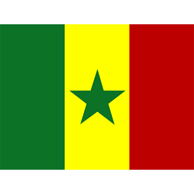 Drapeau officiel du Sénégal, parfait pour personnaliser les accessoires de bébé en toute occasion. Disponibles sur bebe-prenom.c