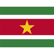 Drapeau Officiel du Suriname, un accessoire original pour personnaliser les articles de bébé. À découvrir sur bebe-prenom.com.