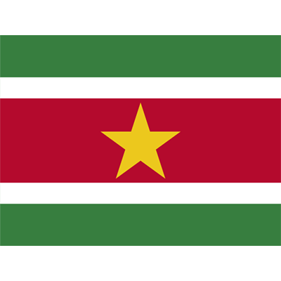 Drapeau Officiel du Suriname, un accessoire original pour personnaliser les articles de bébé. À découvrir sur bebe-prenom.com.