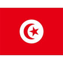 Drapeau Officiel de la Tunisie, parfait pour personnaliser les accessoires de votre bébé. Découvrez-le sur bebe-prenom.com.