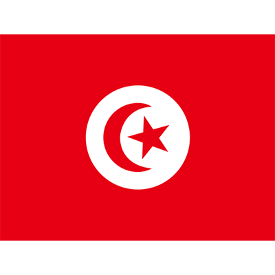 Drapeau Officiel de la Tunisie, parfait pour personnaliser les accessoires de votre bébé. Découvrez-le sur bebe-prenom.com.