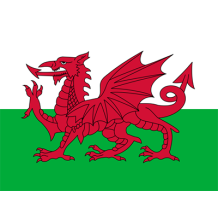 Drapeau Officiel du Pays de Galles, idéal pour personnaliser les accessoires de bébé sur bebe-prenom.com.