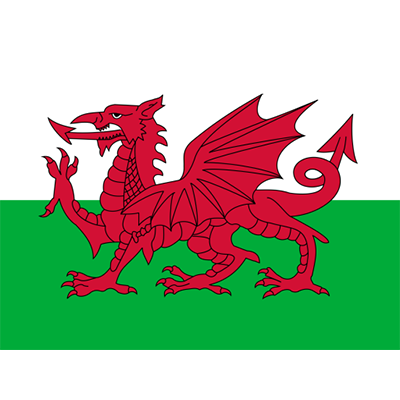 Drapeau Officiel du Pays de Galles, idéal pour personnaliser les accessoires de bébé sur bebe-prenom.com.