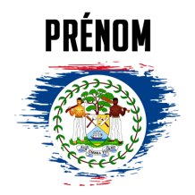 Drapeau effet pinceau Belize pour personnaliser les articles de bébé sur bebe-prenom.com. Une touche d\'originalité!