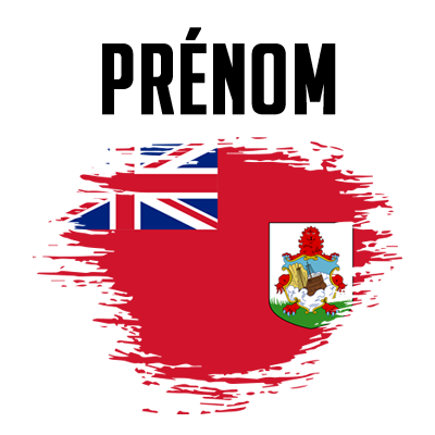 Drapeau effet pinceau Bermudes, parfait pour personnaliser les accessoires de votre bébé sur bebe-prenom.com.