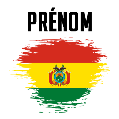 Drapeau effet pinceau Bolivie, un accessoire unique pour personnaliser les articles de bébé chez bebe-prenom.com.