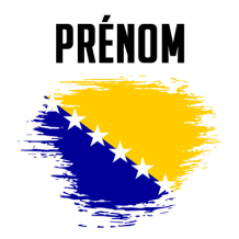 Drapeau effet pinceau Bosnie Herzégovine, idéal pour les accessoires de bébé sur bebe-prenom.com.
