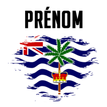 Drapeau effet pinceau Territoire britannique de l\'océan Indien, parfait pour personnaliser les accessoires de bébé.