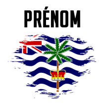 Drapeau effet pinceau Territoire britannique de l\'océan Indien, parfait pour personnaliser les accessoires de bébé.