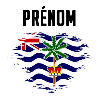 Drapeau effet pinceau Territoire britannique de l\'océan Indien, parfait pour personnaliser les accessoires de bébé.