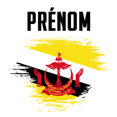Drapeau effet pinceau Brunei Darussalam, idéal pour personnaliser les accessoires de bébé. Découvrez-le sur bebe-prenom.com.