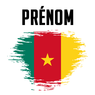 Drapeau effet pinceau Cameroun, idéal pour personnaliser les accessoires de bébé sur bebe-prenom.com.