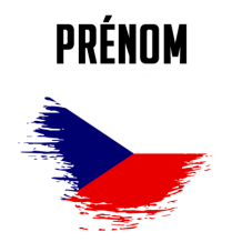 Drapeau effet pinceau République Tchèque, parfait pour les accessoires de bébé sur bebe-prenom.com.