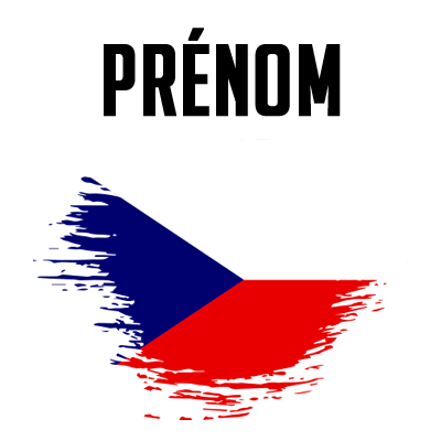 Drapeau effet pinceau République Tchèque, parfait pour les accessoires de bébé sur bebe-prenom.com.