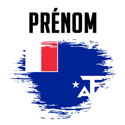 Drapeau effet pinceau Terres australes françaises, parfait pour personnaliser les accessoires de bébé chez bebe-prenom.com.
