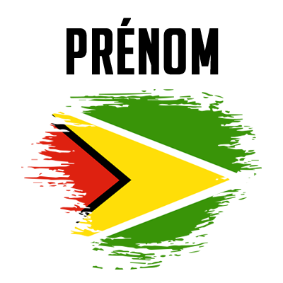 Drapeau effet pinceau Guyane, idéal pour personnaliser les accessoires de votre bébé sur bebe-prenom.com.