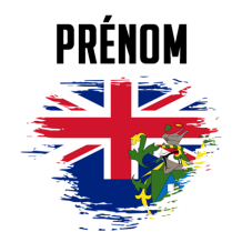 Drapeau effet pinceau Îles Pitcairn, idéale pour personnaliser les articles de bébé sur bebe-prenom.com.
