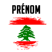 Drapeau effet pinceau Liban, un accessoire tendre et original pour personnaliser les articles de bébé chez bebe-prenom.com.
