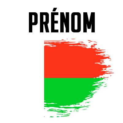 Drapeau effet pinceau Madagascar, idéal pour personnaliser les accessoires de bébé sur bebe-prenom.com.