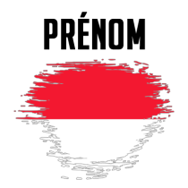 Drapeau effet pinceau Monaco, idéal pour personnaliser les accessoires de bébé sur bebe-prenom.com.