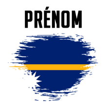 Drapeau effet pinceau Nauru, parfait pour personnaliser vos articles pour bébé sur bebe-prenom.com.