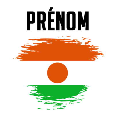 Drapeau effet pinceau Niger, un accessoire original pour personnaliser les articles de votre bébé sur bebe-prenom.com.