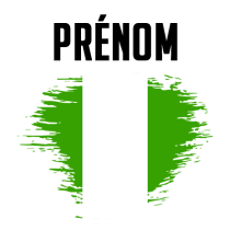 Drapeau effet pinceau Nigeria, parfait pour personnaliser les accessoires de votre bébé sur bebe-prenom.com.