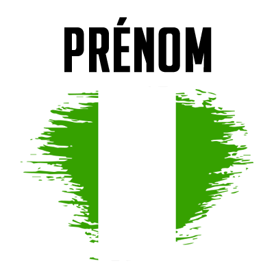 Drapeau effet pinceau Nigeria, parfait pour personnaliser les accessoires de votre bébé sur bebe-prenom.com.