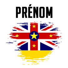 Drapeau effet pinceau Niue, idéal pour les accessoires bébé tendance sur bebe-prenom.com.