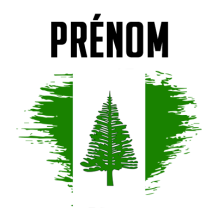 Drapeau effet pinceau l\'ile de Norfolk, décor idéal pour les accessoires de votre bébé sur bebe-prenom.com.
