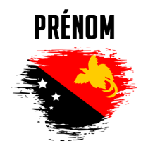 Drapeau effet pinceau Papouasie Nouvelle Guinée, parfait pour personnaliser les accessoires de bébé sur bebe-prenom.com.