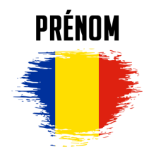 Drapeau effet pinceau Roumanie pour personnaliser les accessoires de bébé sur bebe-prenom.com.