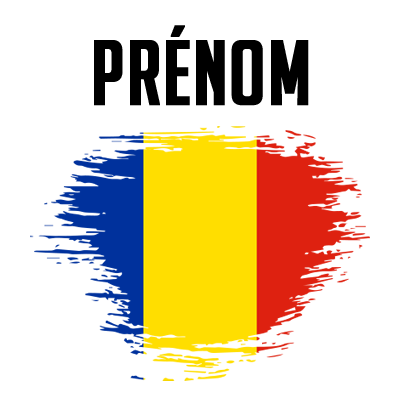 Drapeau effet pinceau Roumanie pour personnaliser les accessoires de bébé sur bebe-prenom.com.
