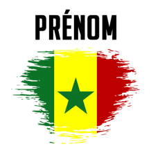 Drapeau effet pinceau Sénégal, idéal pour des articles bébé uniques et colorés sur bebe-prenom.com.