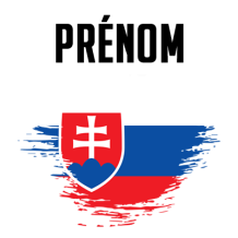 Drapeau effet pinceau Slovaquie, un design unique pour personnaliser les accessoires de votre bébé sur bebe-prenom.com.