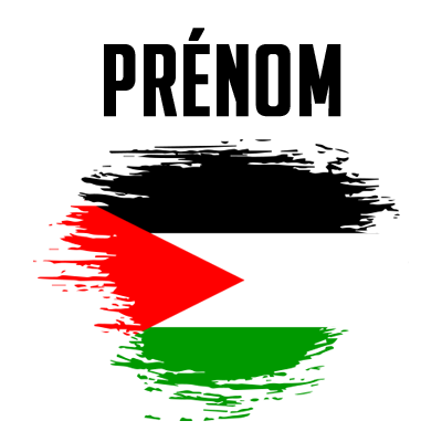 Drapeau effet pinceau État de Palestine, idéal pour personnaliser les accessoires de bébé. Disponibles sur bebe-prenom.com.