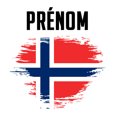 Drapeau effet pinceau Svalbard et Jan Mayen, parfait pour personnaliser les accessoires de votre bébé.