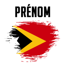 Drapeau effet pinceau Timor Leste, idéal pour personnaliser les accessoires de bébé sur bebe-prenom.com.