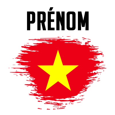Drapeau effet pinceau Vietnam, parfait pour personnaliser les accessoires de bébé sur bebe-prenom.com.
