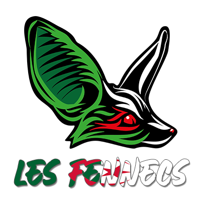 Produit pour bébé \"Les fennecs\" : idéal pour exprimer l\'amour du football en Algérie avec style et confort.
